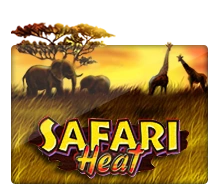 Safari Heat - SPINBET123